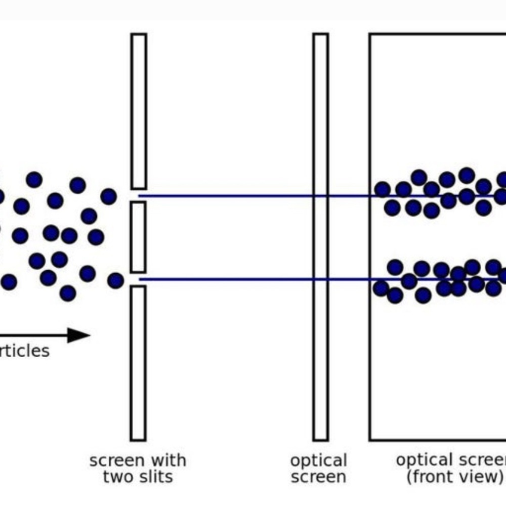 Meet your Posher, Lujain